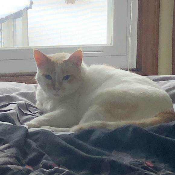 Meet your Posher, Marilyn - Picture 7 of 8